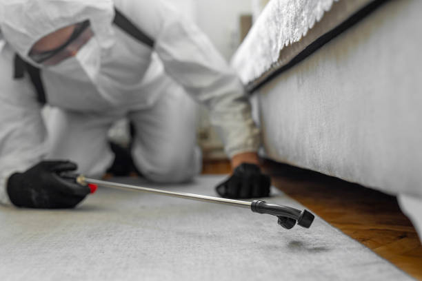 Professional Termite Control technician working in Woodward, IA