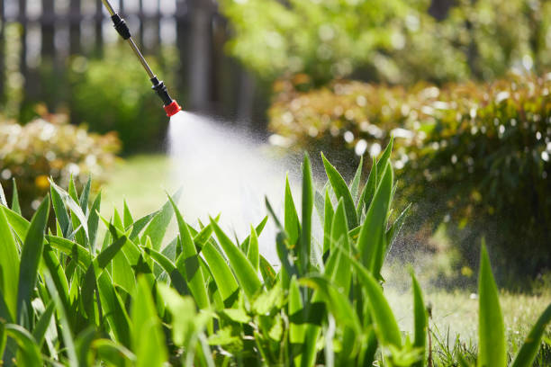 24/7 Emergency Termite Control experts in Woodward, IA